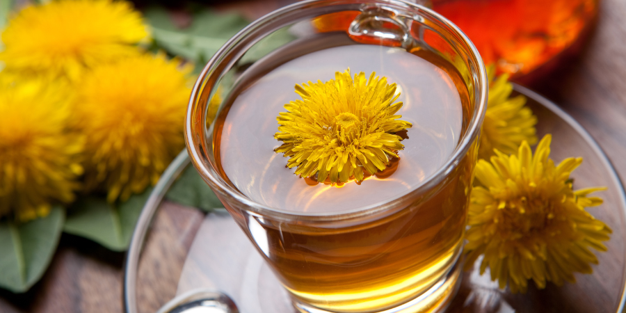 The 12 Best Teas for Digestion β ecoNugenics