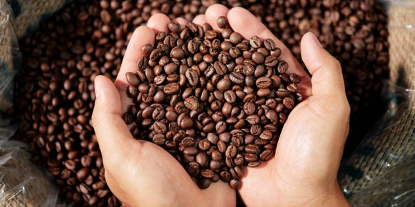 Is Your Coffee Safe? How to Avoid Toxins and Pesticides