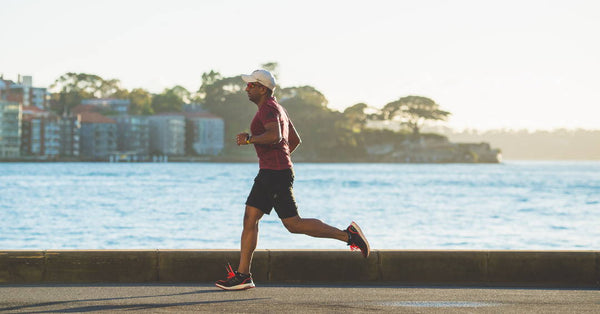 Understanding Prostate Health And How to Support It