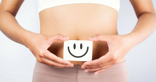 Gut health 101: The Benefits of Probiotics