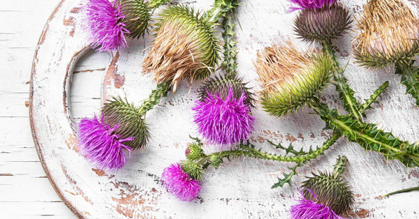 More than Milk Thistle: What You Actually Need for a Complete Liver Detox