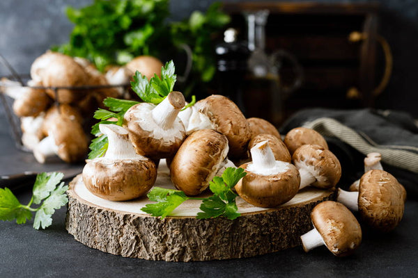 New Study Highlights Link between Mushrooms and Microbiota