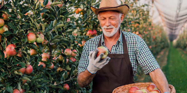 8 Tasty Foods Rich in Pectin to Boost Your Health