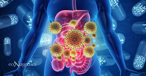 7 Things That Sabotage Your Immune System by Disturbing Your Gut Microbiome