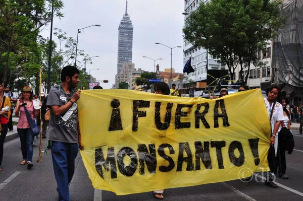 Mexico Bans Monsanto's Roundup Herbicide