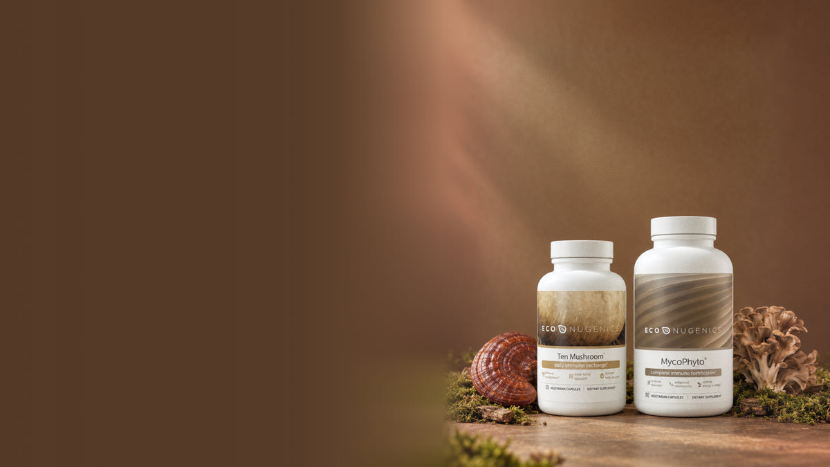 ecoNugenics Ten Mushroom Immune Support Capsules and MycoPhyto Complex bottles with reishi and maitake mushrooms on moss