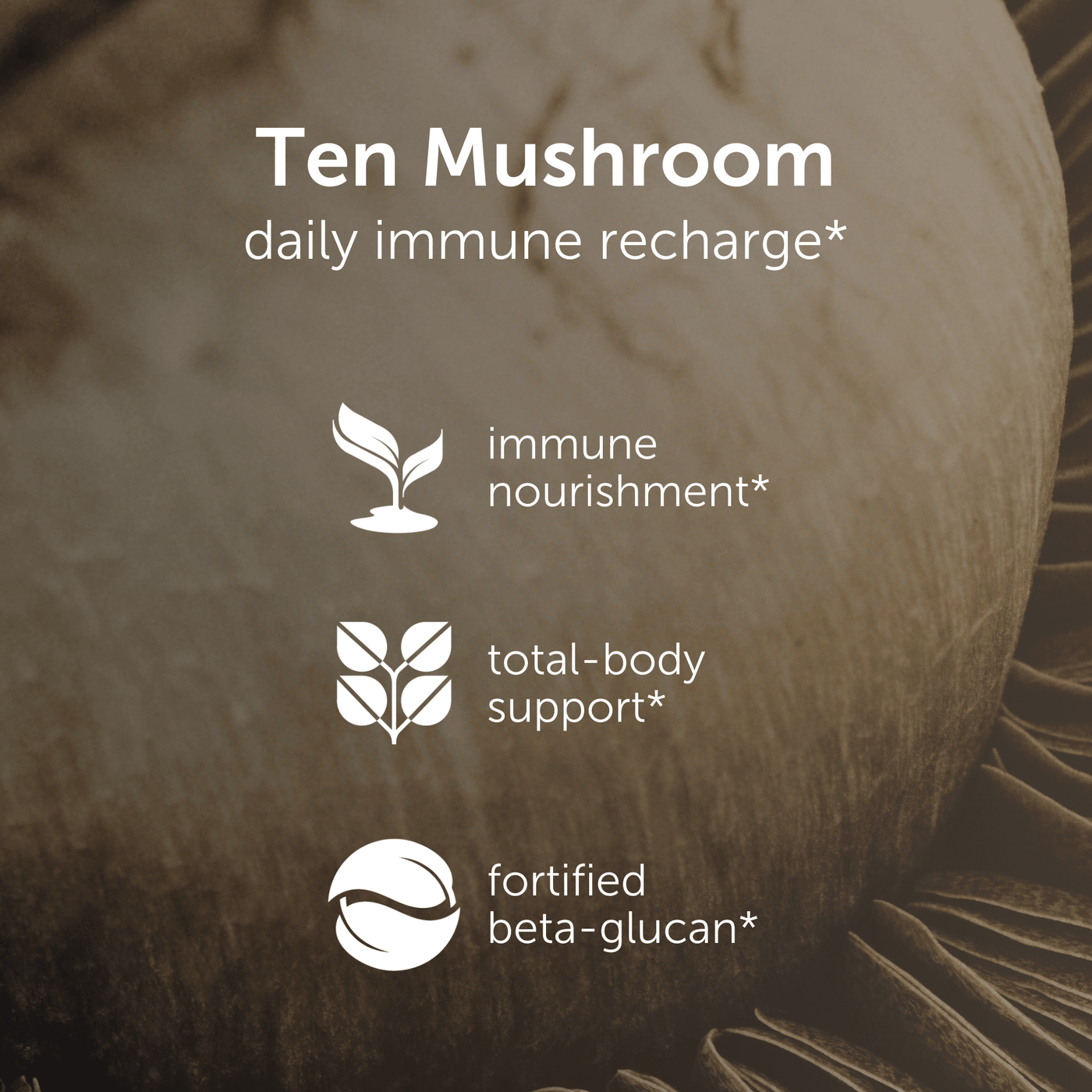 Ten Mushroom Formula - ecoNugenics